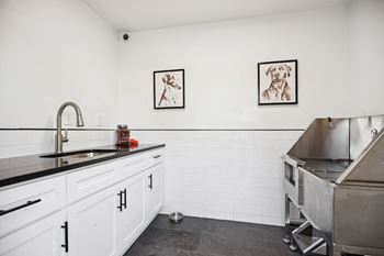 Dog wash station